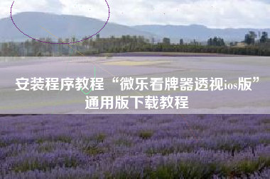 安装程序教程“微乐看牌器透视ios版	”通用版下载教程