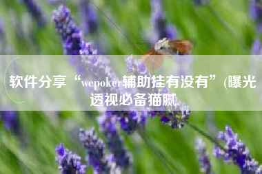 软件分享“wepoker辅助挂有没有	”(曝光透视必备猫腻