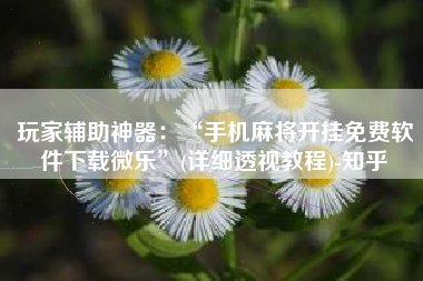 玩家辅助神器：“手机麻将开挂免费软件下载微乐”(详细透视教程)-知乎