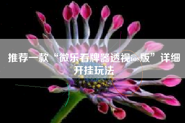 推荐一款“微乐看牌器透视ios版”详细开挂玩法