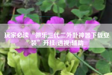 玩家必读“微乐三代二外卦神器下载安装”开挂(透视)辅助