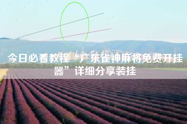 今日必看教程“广东雀神麻将免费开挂器	”详细分享装挂