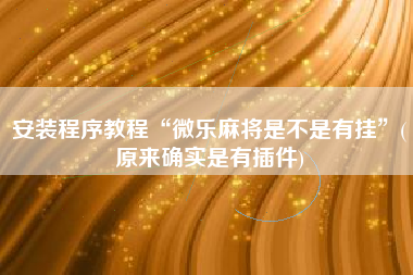 安装程序教程“微乐麻将是不是有挂”(原来确实是有插件)