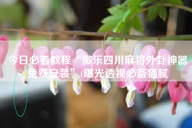 今日必看教程“微乐四川麻将外卦神器免费安装	”(曝光透视必备猫腻