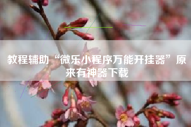 教程辅助“微乐小程序万能开挂器”原来有神器下载