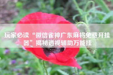 玩家必读“微信雀神广东麻将免费开挂器”揭秘透视辅助万能挂