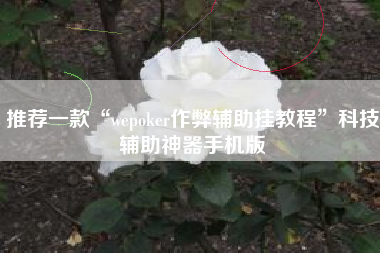 推荐一款“wepoker作弊辅助挂教程	”科技辅助神器手机版