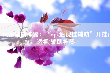 玩家辅助神器：“wpk透视挂辅助	”开挂(透视)辅助神器