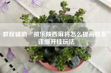 教程辅助“微乐陕西麻将怎么提高胜率”详细开挂玩法