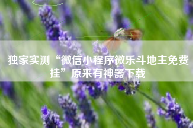 独家实测“微信小程序微乐斗地主免费挂”原来有神器下载