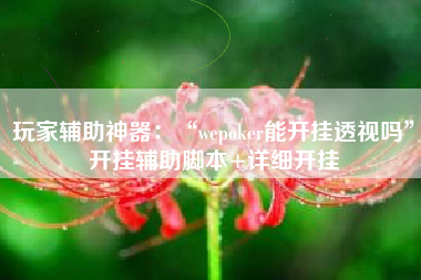 玩家辅助神器：“wepoker能开挂透视吗”开挂辅助脚本+详细开挂