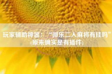 玩家辅助神器：“微乐二人麻将有挂吗”(原来确实是有插件)