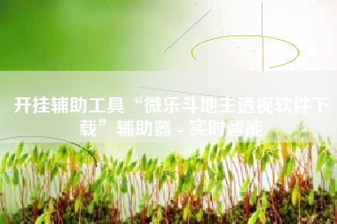 开挂辅助工具“微乐斗地主透视软件下载	”辅助器 - 实时智能