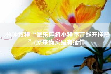 3分钟教程“微乐麻将小程序万能开挂器”(原来确实是有插件