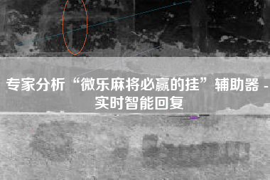 专家分析“微乐麻将必赢的挂	”辅助器 - 实时智能回复