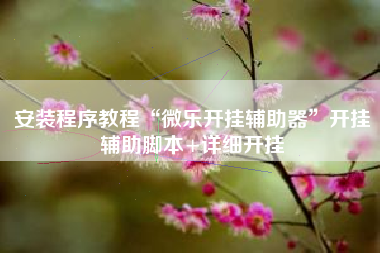 安装程序教程“微乐开挂辅助器”开挂辅助脚本+详细开挂