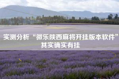 实测分析“微乐陕西麻将开挂版本软件	”其实确实有挂