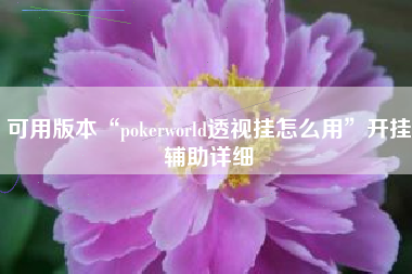 可用版本“pokerworld透视挂怎么用”开挂辅助详细