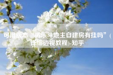 可用版本“微乐斗地主自建房有挂吗”(详细透视教程)-知乎