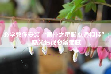 必学教你安装“德扑之星脚本透视挂”(曝光透视必备猫腻