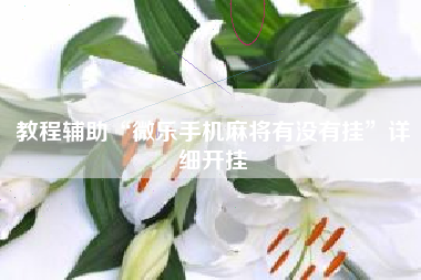 教程辅助“微乐手机麻将有没有挂”详细开挂
