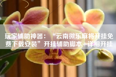 玩家辅助神器：“云南微乐麻将开挂免费下载安装”开挂辅助脚本+详细开挂