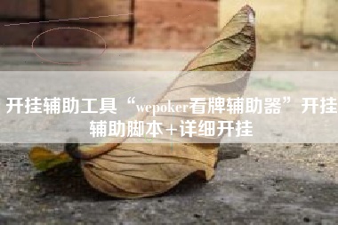 开挂辅助工具“wepoker看牌辅助器”开挂辅助脚本+详细开挂