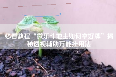 必看教程“微乐斗地主如何拿好牌”揭秘透视辅助万能挂用法