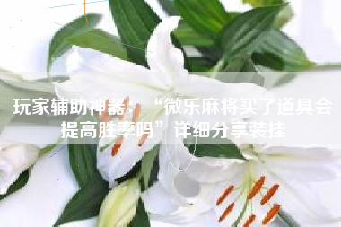 玩家辅助神器：“微乐麻将买了道具会提高胜率吗	”详细分享装挂