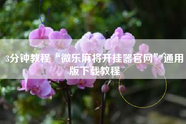 3分钟教程“微乐麻将开挂器官网	”通用版下载教程