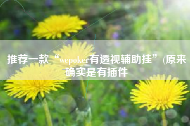 推荐一款“wepoker有透视辅助挂”(原来确实是有插件