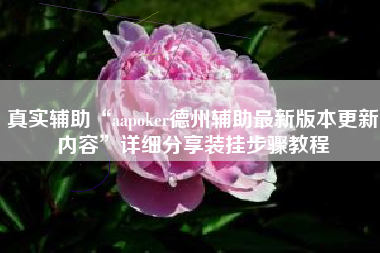 真实辅助“aapoker德州辅助最新版本更新内容	”详细分享装挂步骤教程