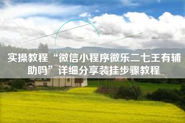 实操教程“微信小程序微乐二七王有辅助吗”详细分享装挂步骤教程