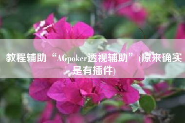 教程辅助“AGpoker透视辅助”(原来确实是有插件)