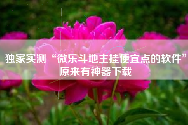 独家实测“微乐斗地主挂便宜点的软件	”原来有神器下载