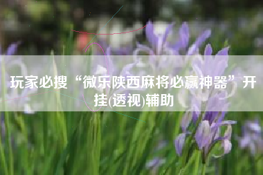 玩家必搜“微乐陕西麻将必赢神器”开挂(透视)辅助