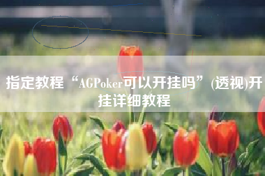 指定教程“AGPoker可以开挂吗”(透视)开挂详细教程