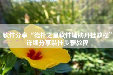 软件分享“德扑之星软件辅助开挂教程	”详细分享装挂步骤教程