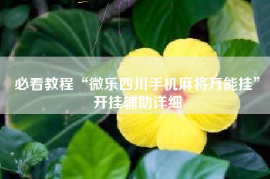 必看教程“微乐四川手机麻将万能挂	”开挂辅助详细