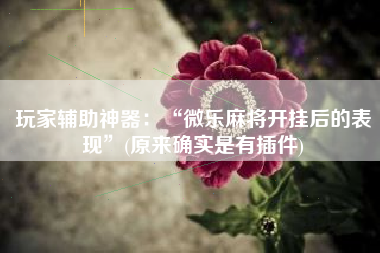 玩家辅助神器：“微乐麻将开挂后的表现	”(原来确实是有插件)