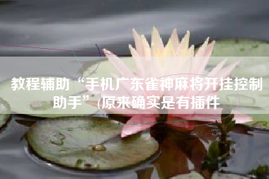 教程辅助“手机广东雀神麻将开挂控制助手”(原来确实是有插件