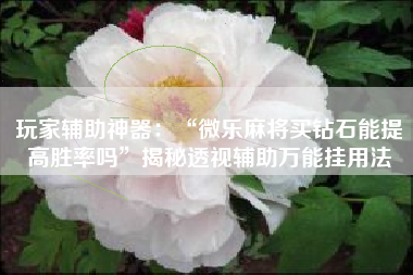 玩家辅助神器：“微乐麻将买钻石能提高胜率吗	”揭秘透视辅助万能挂用法