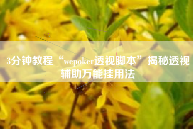 3分钟教程“wepoker透视脚本”揭秘透视辅助万能挂用法