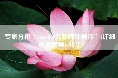 专家分析“aapoker外卦辅助插件”(详细透视教程)-知乎