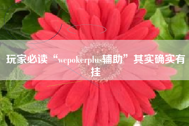 玩家必读“wepokerplus辅助”其实确实有挂