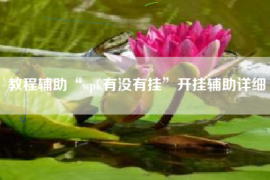 教程辅助“wpk有没有挂”开挂辅助详细
