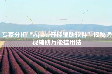 专家分析“wepoker开挂辅助软件”揭秘透视辅助万能挂用法