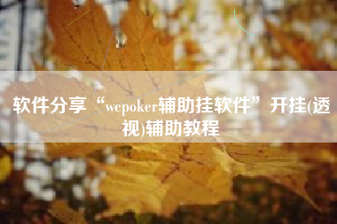 软件分享“wepoker辅助挂软件	”开挂(透视)辅助教程