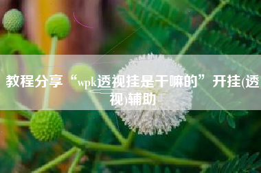 教程分享“wpk透视挂是干嘛的”开挂(透视)辅助
