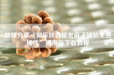 教程分享“微乐陕西捉老麻子辅助免费插件	”通用版下载教程